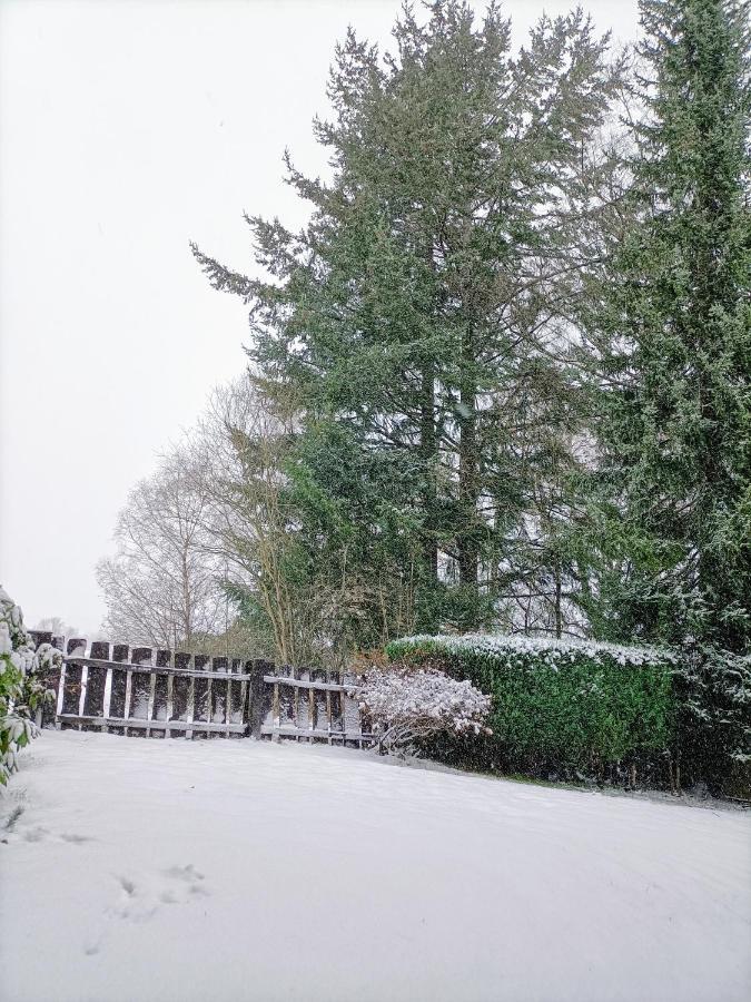Bergfreude Chalet Braunlage Buitenkant foto